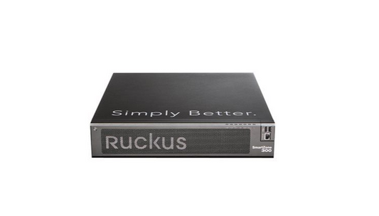 Ruckus P01-S300-WW00