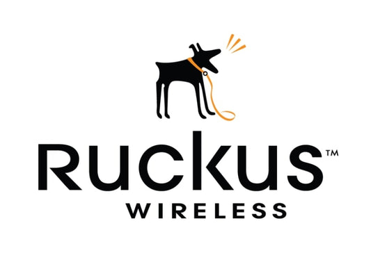 Ruckus S02-E144-1000